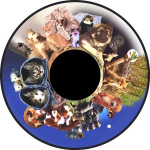 6" Effectwiel Fluffy (Honden en Katten)