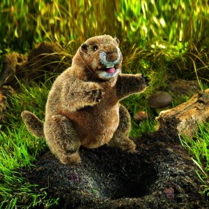 **Handpop Marmot 25 cm