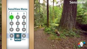 USB stick 1: Standard base stick