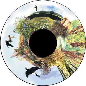 6" Magnetisches Effektrad Land