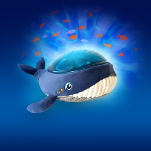 Wally Walvis AquaDream projector