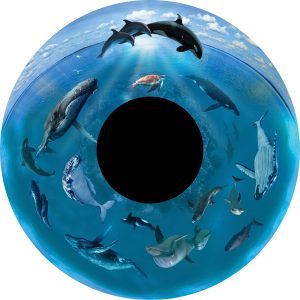 6" Effectwiel Walvissen