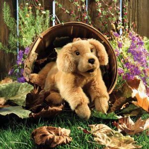Handpop Golden Retriever, 43 cm