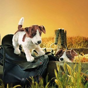 Handpop Jack Russel, 33 cm