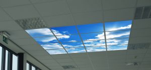 Set van 6 Fotopanelen (LED) 60 x 60 cm (excl. afstandsbediening art. BE05183)